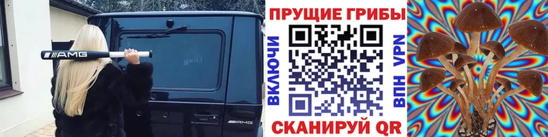купить наркоту  Белая Калитва  Галлюциногенные грибы GOLDEN TEACHER 