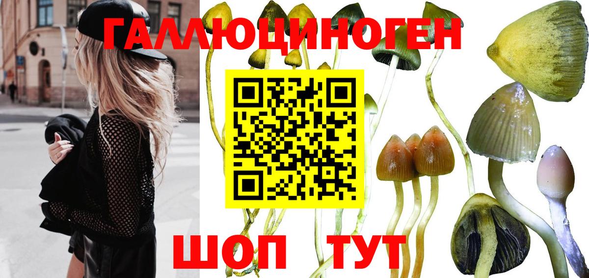 Псилоцибиновые грибы ЛСД  Вход с VPN  как найти наркотики  Белая Калитва 